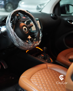 smart Fortwo EQ Racingreen (22kW)